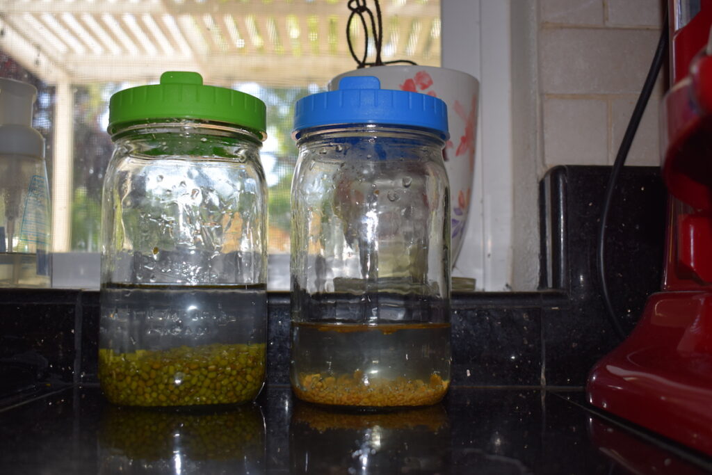 Soaking Sprouts